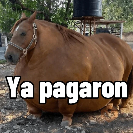 Mis pegatinas sticker 21