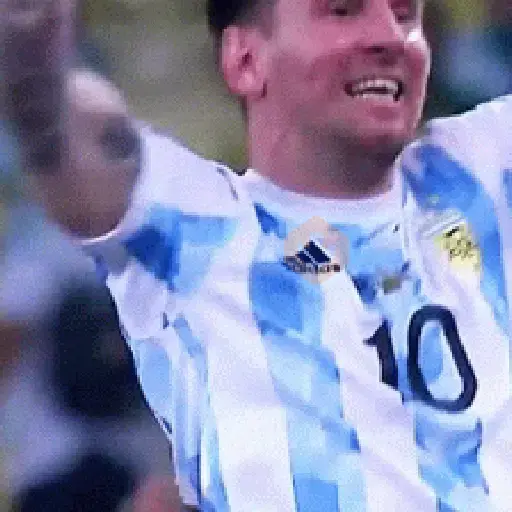 MESSI ARGENTINA 🇦🇷 sticker 14