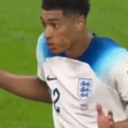 Jude Bellingham 🏴󠁧󠁢󠁥󠁮󠁧󠁿✨⚽️ sticker 13
