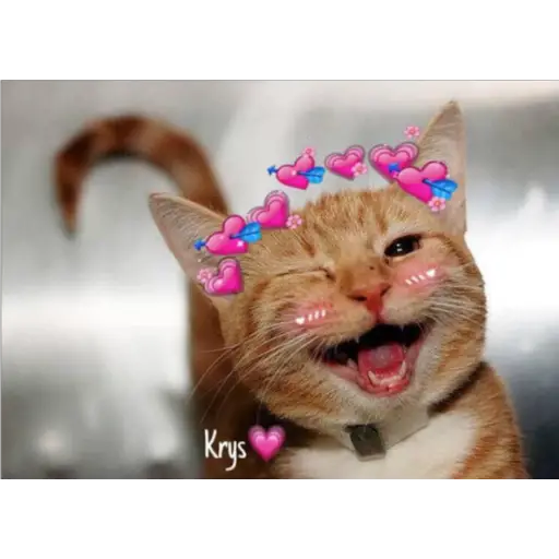 Krys💗~Jan Omar🇵🇷~Bibi⭐ 