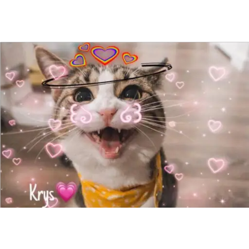 Krys💗~Jan Omar🇵🇷~Bibi⭐ 