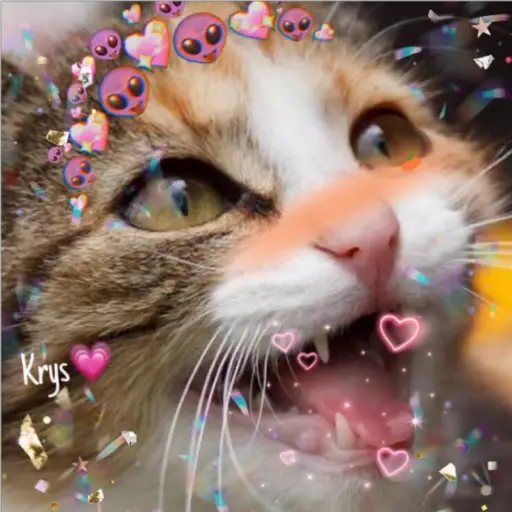 Krys💗~Jan Omar🇵🇷~Bibi⭐ 