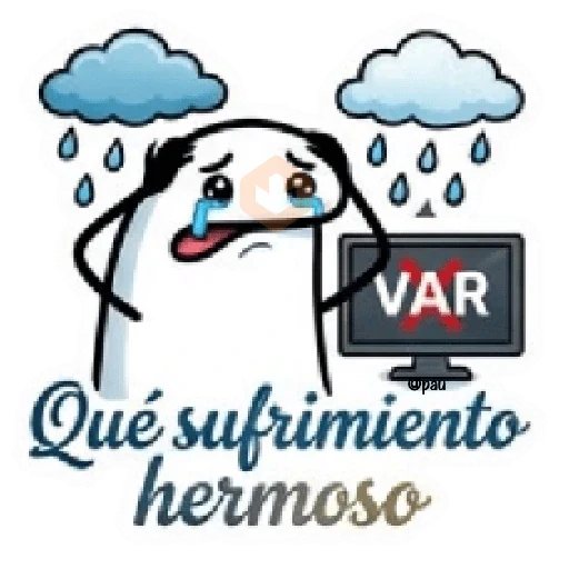 Flork Argentina pa'el infarto sticker 13