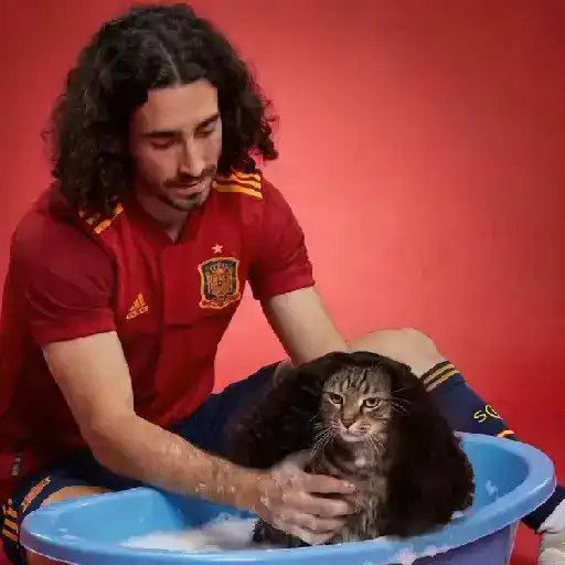 cucurella👑🇪🇸 sticker 21