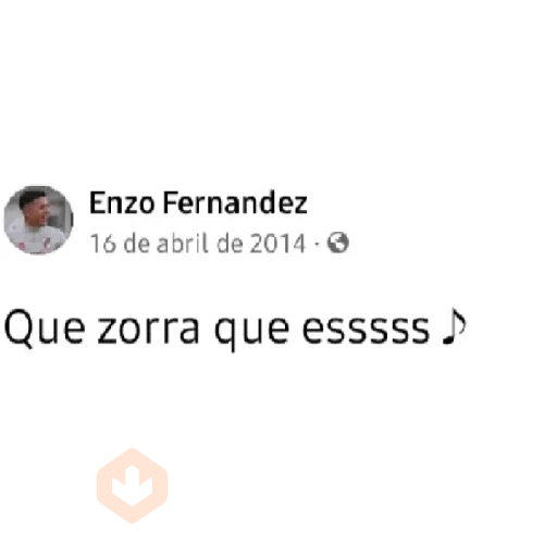Enzo Fernandez sticker 12