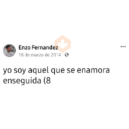 Enzo Fernandez sticker 13