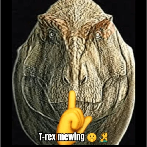 Memes XD sticker 15