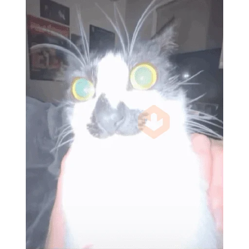 mais figu doidakkkkkjjjkkj sticker 14