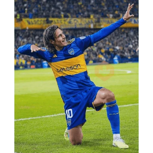 CABJ💙💛💙 sticker 11