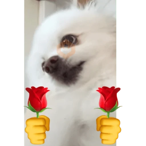 Snoopy sticker 18