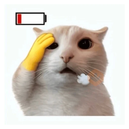 cat emoji sticker 29
