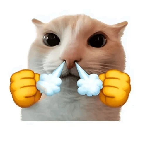 cat emoji sticker 16