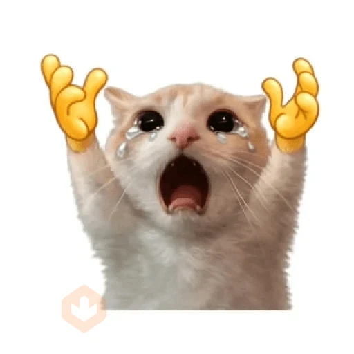 cat emoji sticker 12