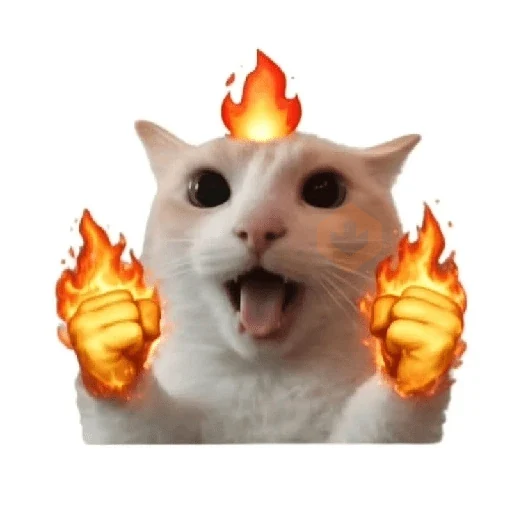 cat emoji sticker 11