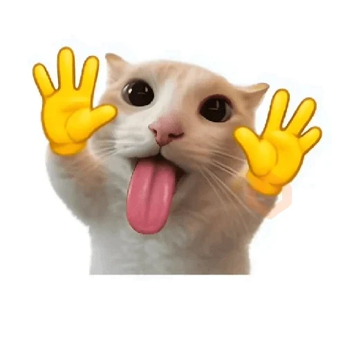 cat emoji sticker 17