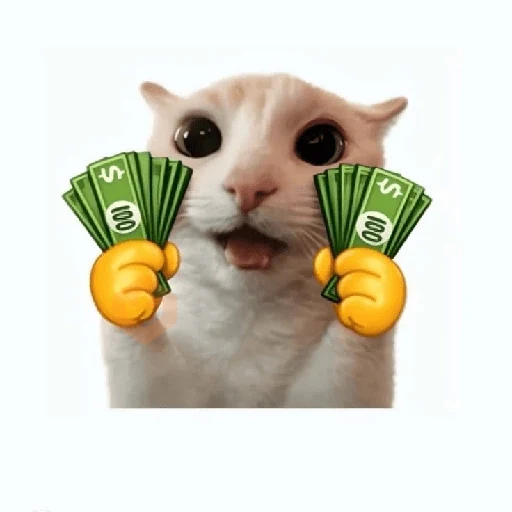 cat emoji sticker 24