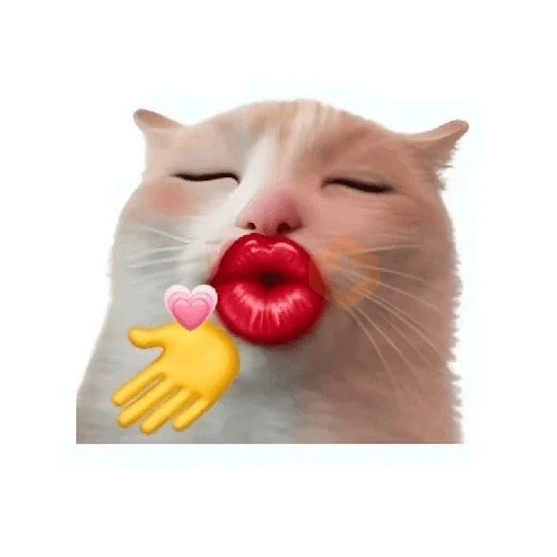 cat emoji sticker 14