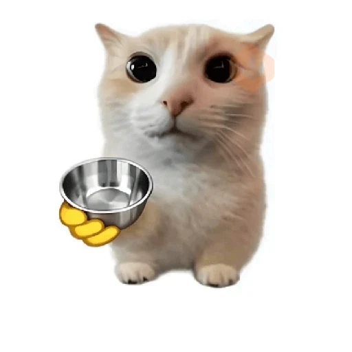 cat emoji sticker 15