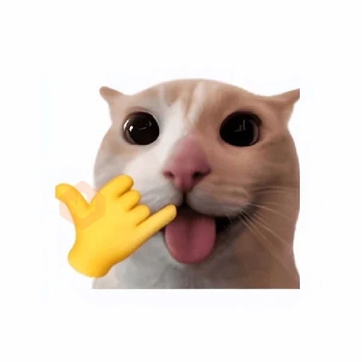 cat emoji sticker 22