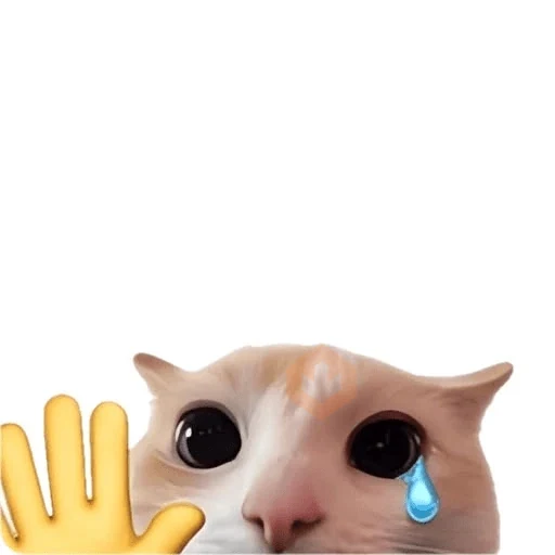 cat emoji sticker 25