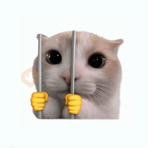 cat emoji sticker 20