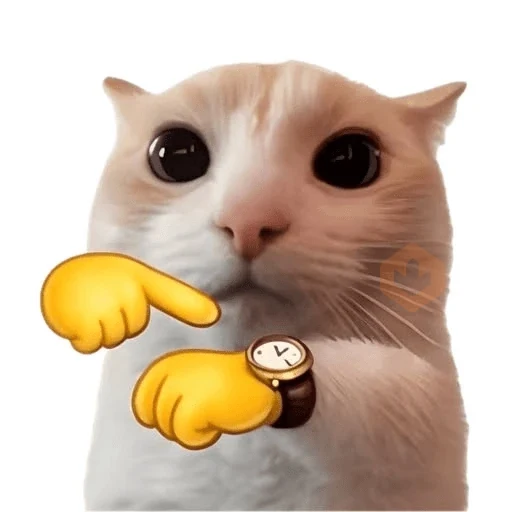 cat emoji sticker 30