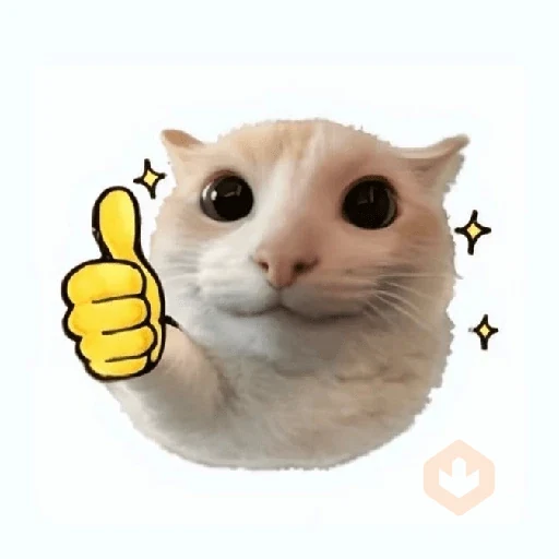 cat emoji sticker 21