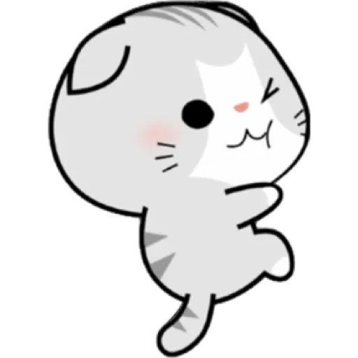 Mochi & cats 😻