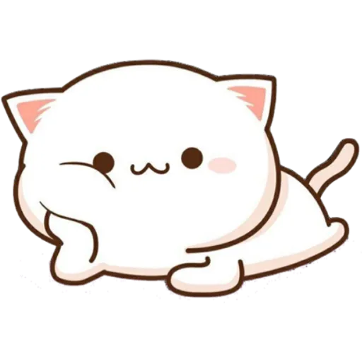 Mochi & cats 😻