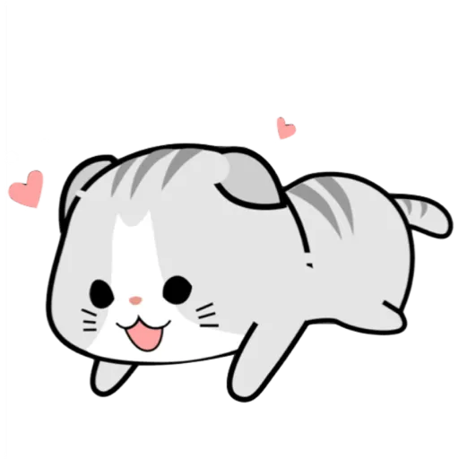 Mochi & cats 😻