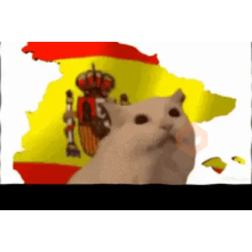 España mundial - Memes sticker 17