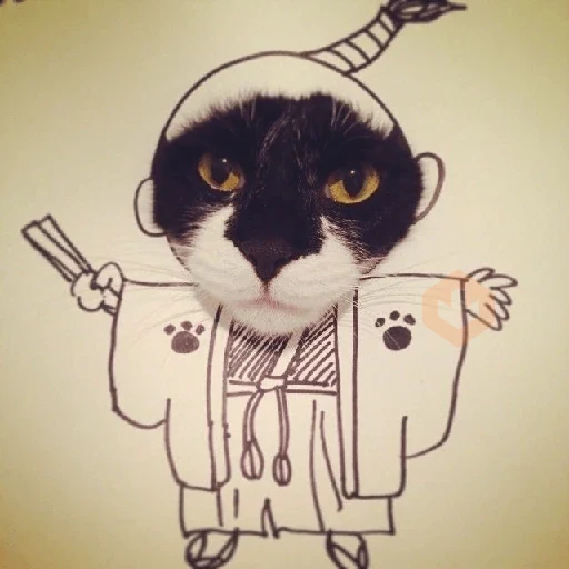Gatos sticker 30