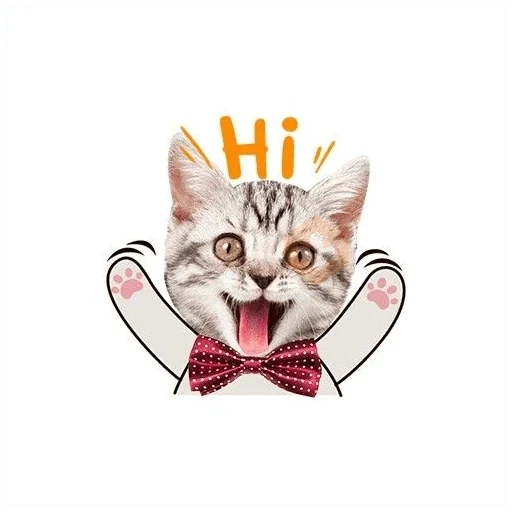 Gatos sticker 14