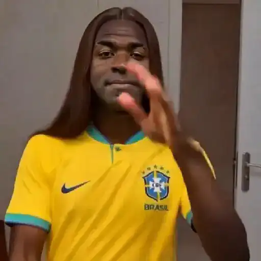 Memes da COPA sticker 19