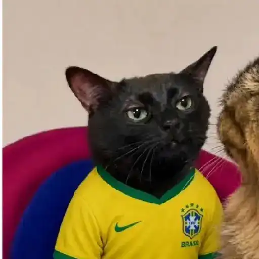 Memes da COPA sticker 15