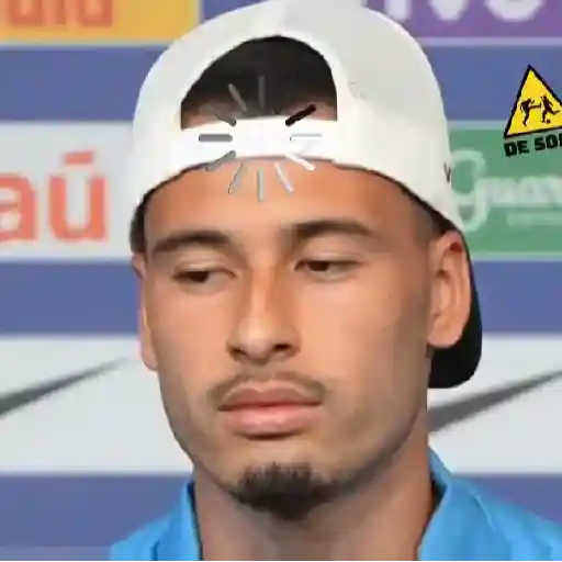 Memes da COPA sticker 20