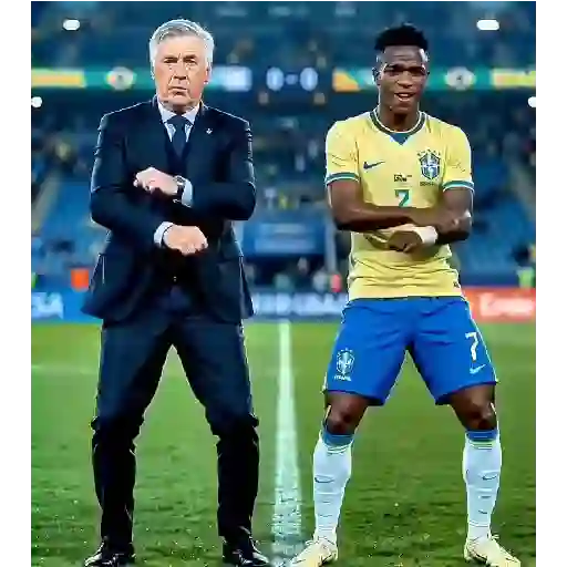 Memes da COPA sticker 22