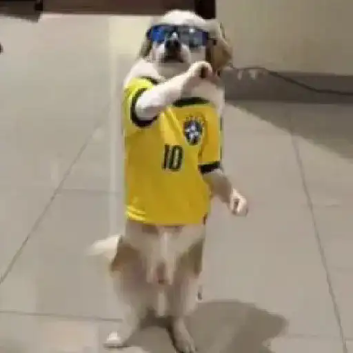 Memes da COPA sticker 27