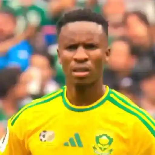 Memes da COPA sticker 23