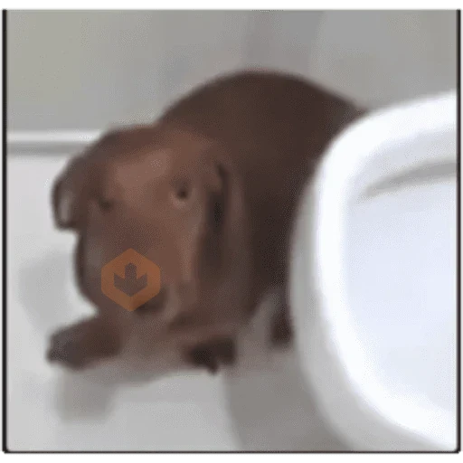 emoji sticker 24