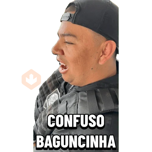Minhas figurinhas sticker 20