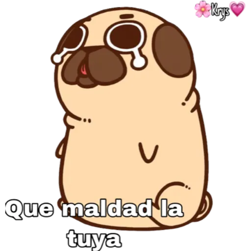 Perritos 🐶🥰