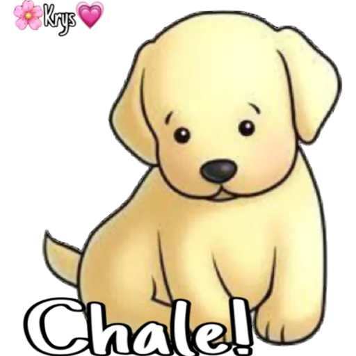 Perritos 🐶🥰