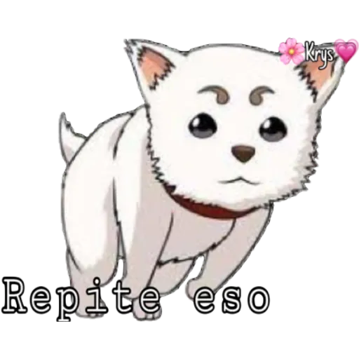 Perritos 🐶🥰