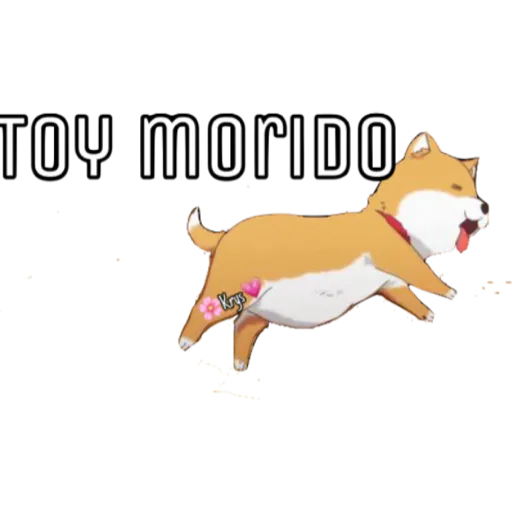 Perritos 🐶🥰
