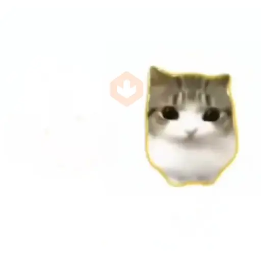Damdam dididi Cat Kitten sticker 13