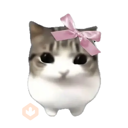 Damdam dididi Cat Kitten sticker 12