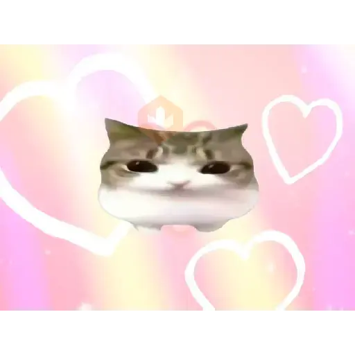 Damdam dididi Cat Kitten sticker 18
