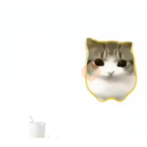 Damdam dididi Cat Kitten sticker 14