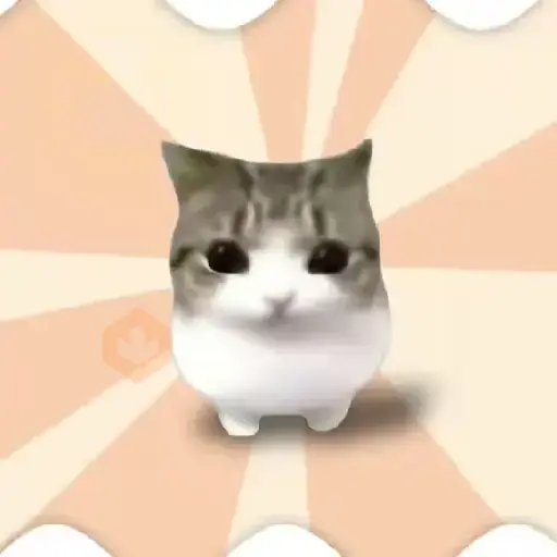 Damdam dididi Cat Kitten sticker 16